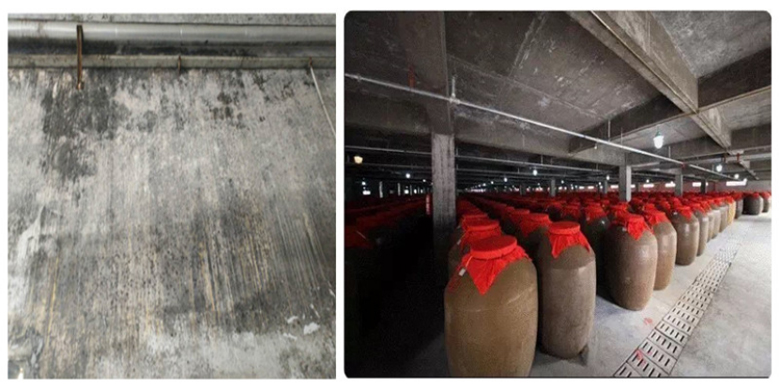 酒廠防霉墻面