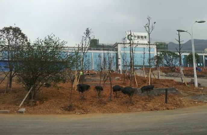 畢節(jié)煙廠專用防霉抗菌墻面項(xiàng)目