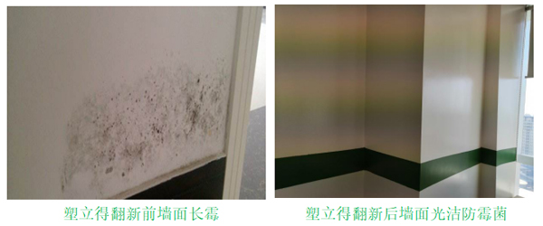 長(zhǎng)霉墻面翻新