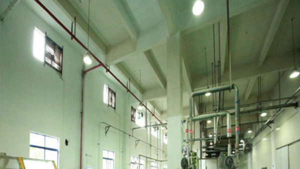 食品工廠霉菌墻面翻新后