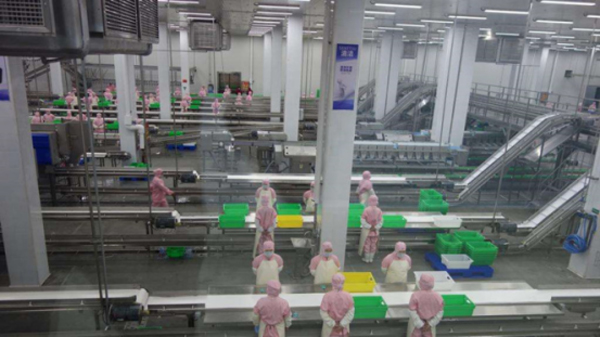 食品廠加工車間墻面涂料