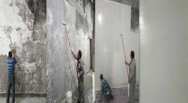 水性防霉涂料廠家