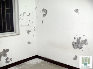 防涂鴉墻面涂料