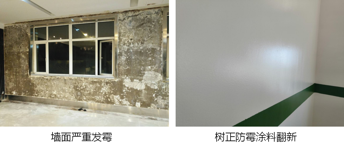 家裝勿擾！墻面發(fā)霉怎么辦？墻面如何有效防霉？