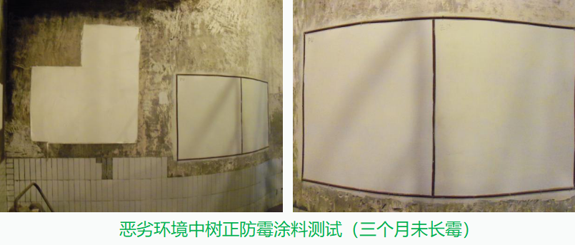 工業(yè)廠房墻面發(fā)霉如何處理，北京航特一招搞定！