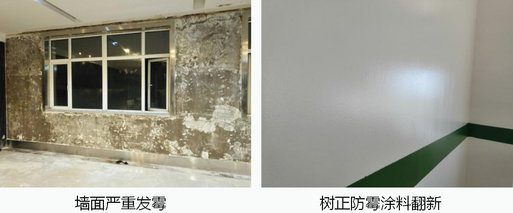 發(fā)霉的墻壁怎么處理？如何有效防霉？