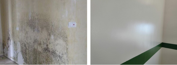 墻面防霉處理方法有哪些？哪種比較有效？