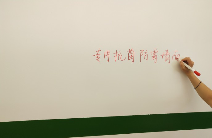 醫(yī)院手術室墻面，選哪種材料性價比較高成本低？