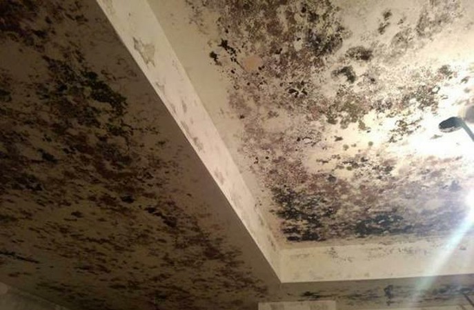 墻面發(fā)霉怎么處理？有比較好的方法嗎？