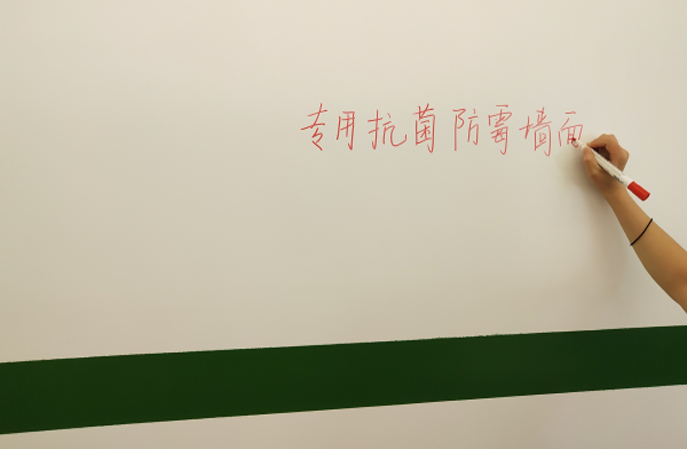 水性抗菌涂料的價格是多少？