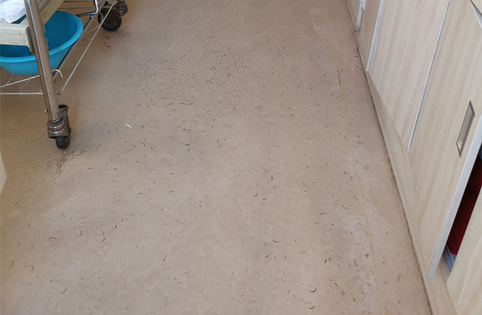 塑立得保養(yǎng)清潔技巧，輕松延長塑膠地板使用年限