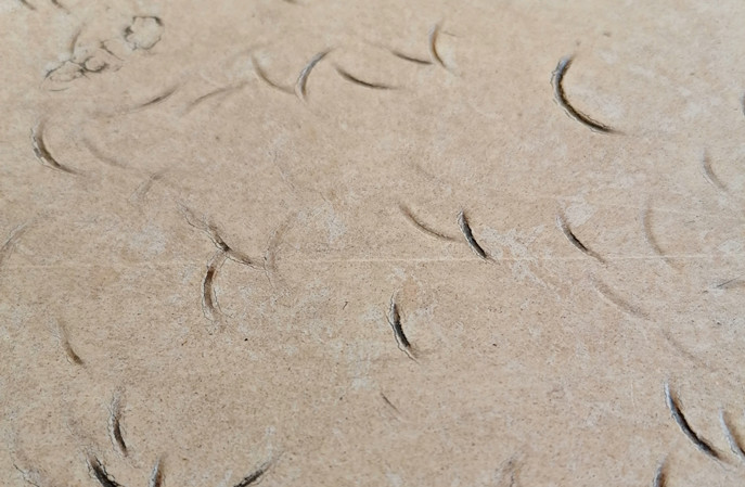 塑膠地板保養(yǎng)“防老指南”：三步讓它年輕10歲！