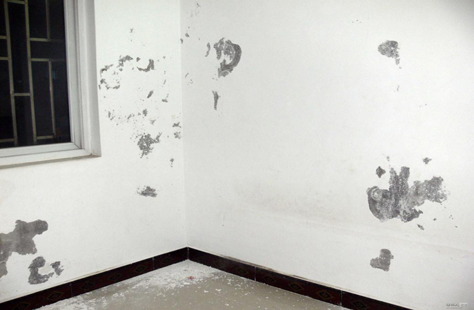 塑立得抗菌涂料：醫(yī)院墻面的“貼心管家”