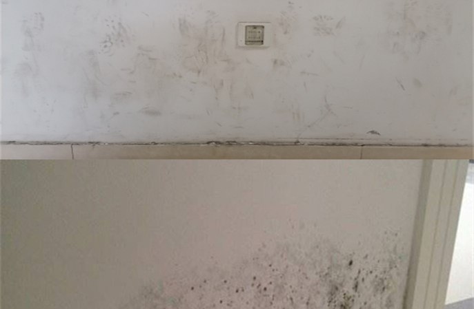 耐藥菌危機(jī)升級！醫(yī)院墻面竟成污染擴(kuò)散源？塑立得構(gòu)筑醫(yī)療空間“防火墻”