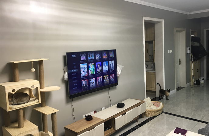 塑立得抗菌墻面涂料用量揭秘，打造健康家居新體驗(yàn)