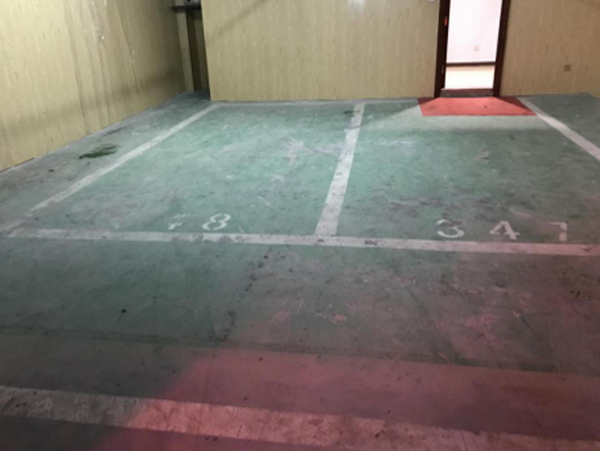 遠(yuǎn)洋天著環(huán)氧地坪車庫(kù)