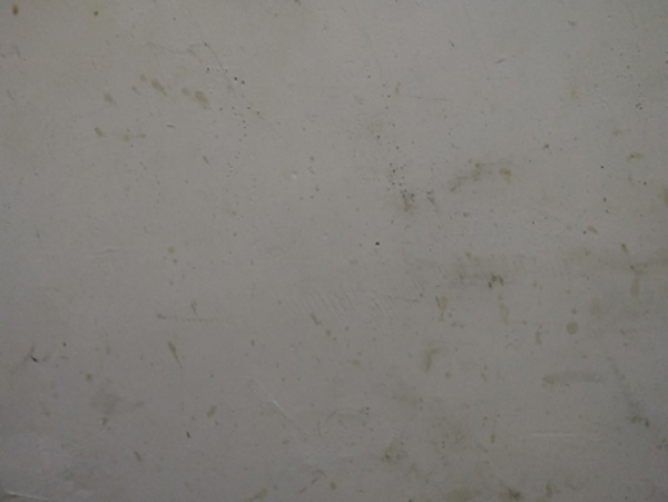 乳膠漆墻面不耐臟